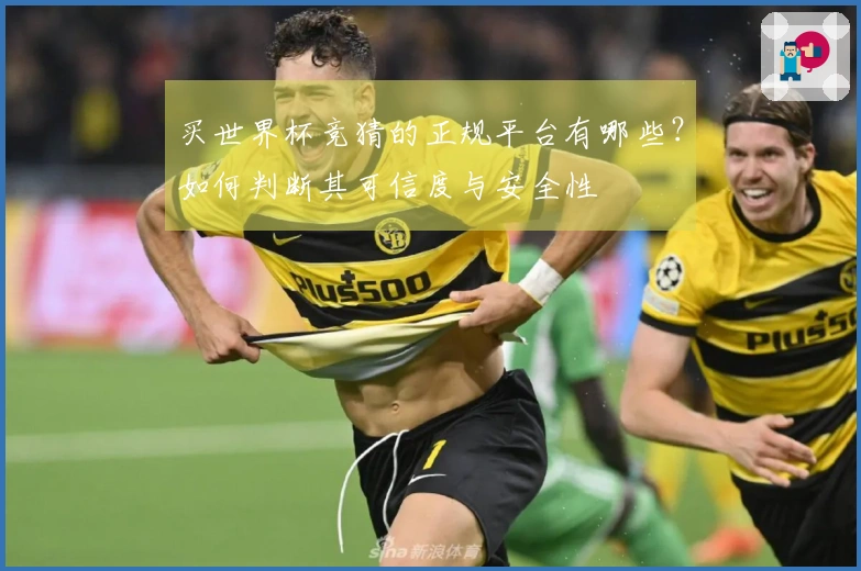 买世界杯竞猜的正规平台有哪些？如何判断其可信度与安全性