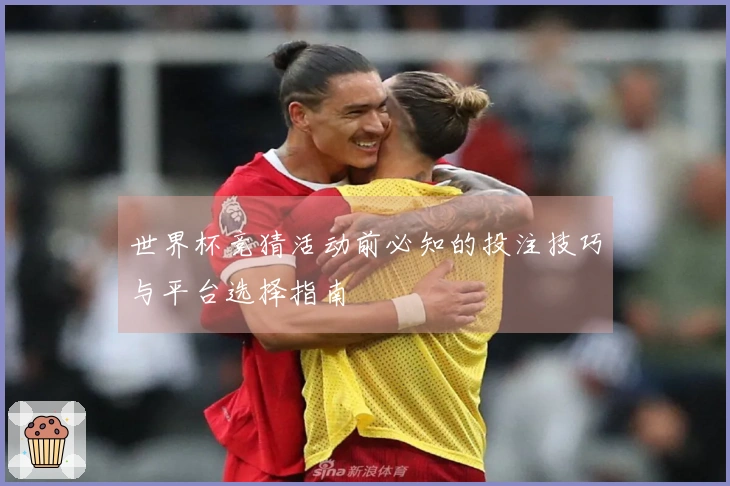 世界杯竞猜活动前必知的投注技巧与平台选择指南