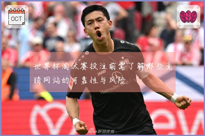 世界杯淘汰赛投注前需了解哪些竞猜网站的可靠性与风险
