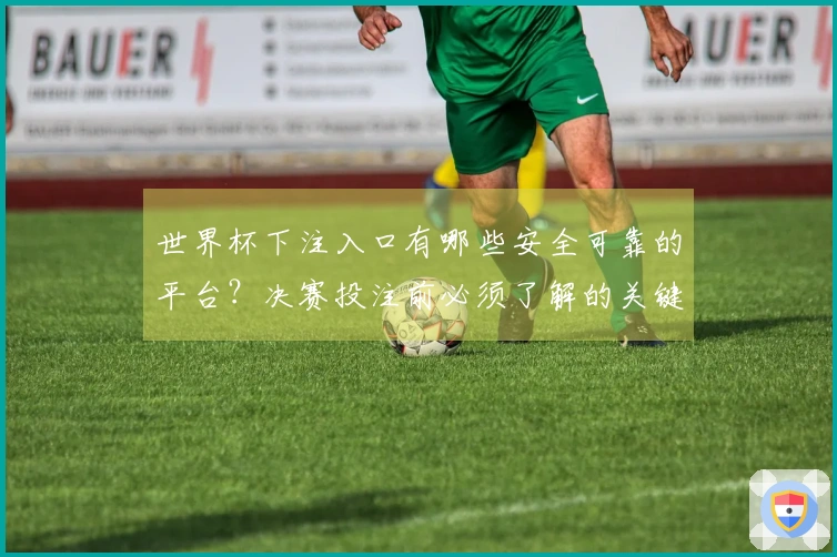 世界杯下注入口有哪些安全可靠的平台?决赛投注前必须了解的关键点