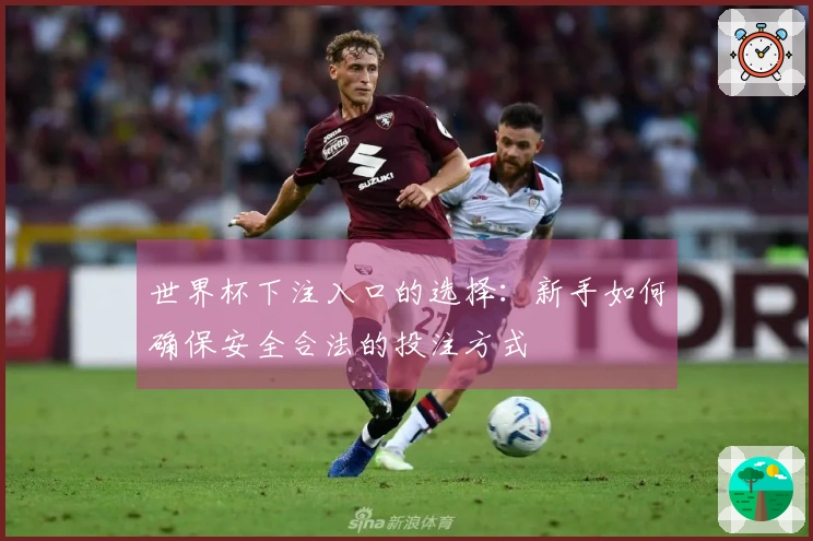 世界杯下注入口的选择：新手如何确保安全合法的投注方式