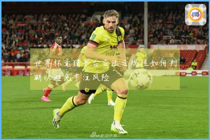 世界杯竞猜平台合法合规性如何判断以避免下注风险