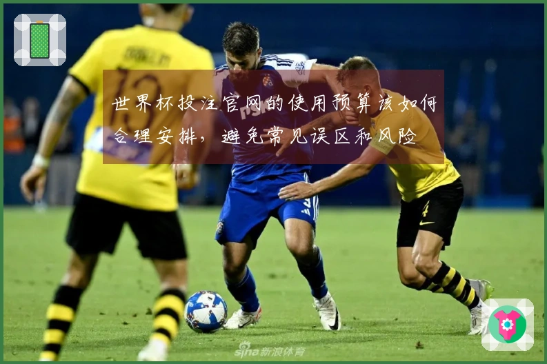 世界杯投注官网的使用预算该如何合理安排，避免常见误区和风险