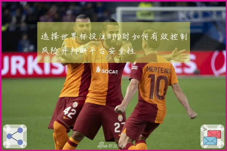 选择世界杯投注app时如何有效控制风险并判断平台安全性
