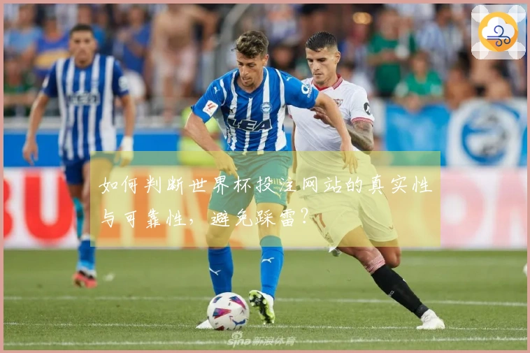 如何判断世界杯投注网站的真实性与可靠性,避免踩雷?