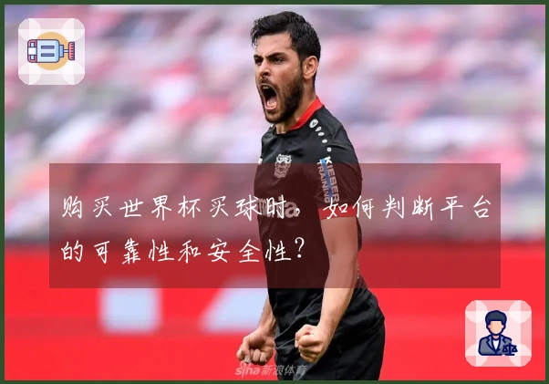 购买世界杯买球时，如何判断平台的可靠性和安全性？