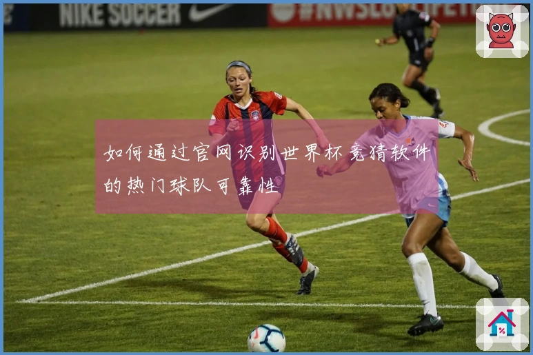 如何通过官网识别世界杯竞猜软件的热门球队可靠性