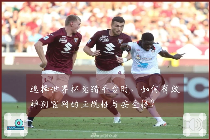 选择世界杯竞猜平台时，如何有效辨别官网的正规性与安全性？