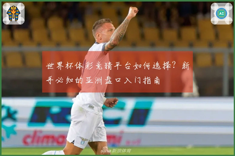 世界杯体彩竞猜平台如何选择？新手必知的亚洲盘口入门指南