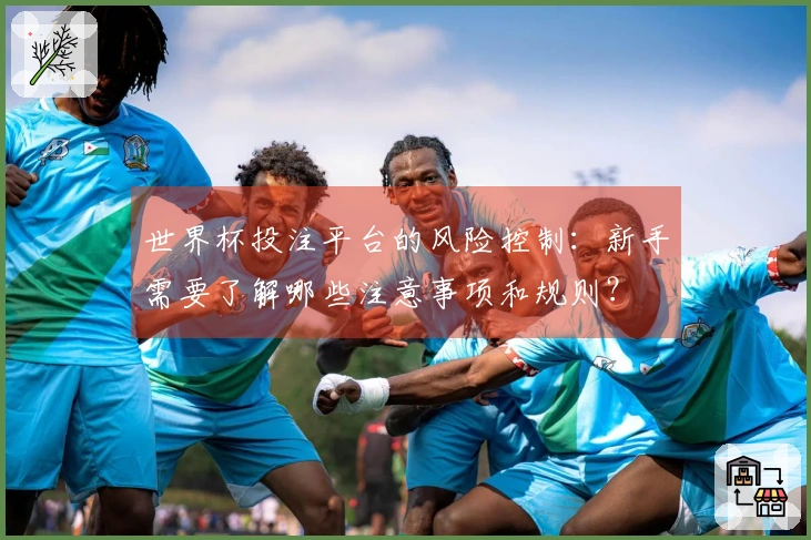 世界杯投注平台的风险控制：新手需要了解哪些注意事项和规则？