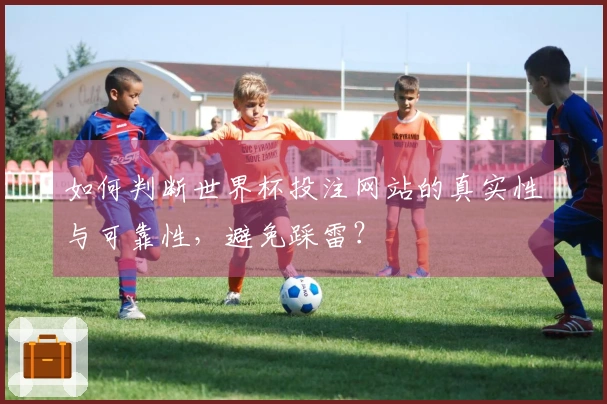 如何判断世界杯投注网站的真实性与可靠性，避免踩雷？