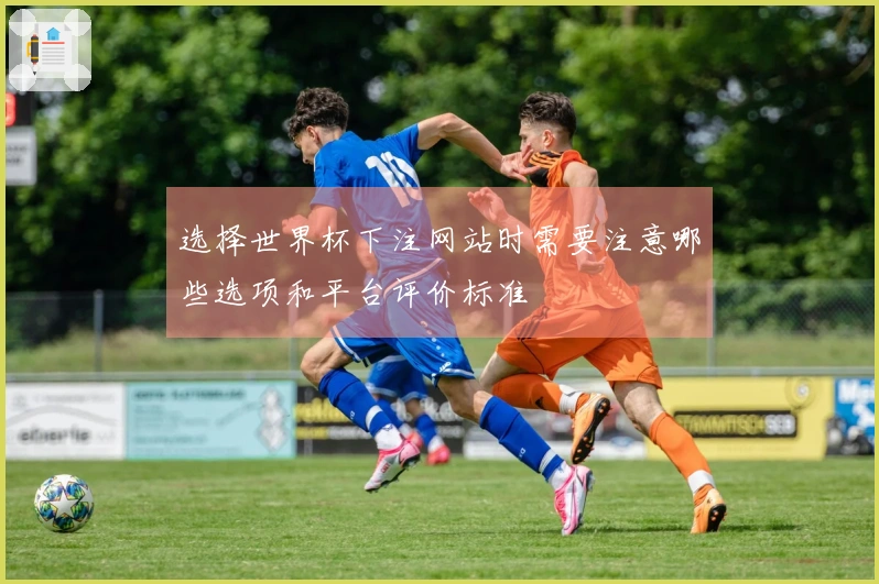 选择世界杯下注网站时需要注意哪些选项和平台评价标准