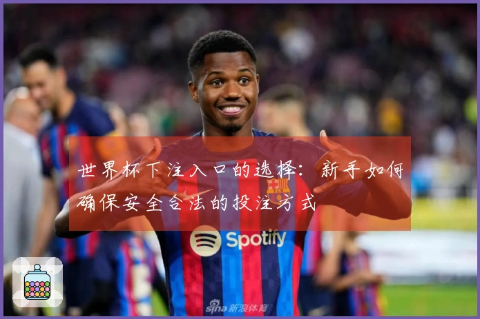 世界杯下注入口的选择：新手如何确保安全合法的投注方式