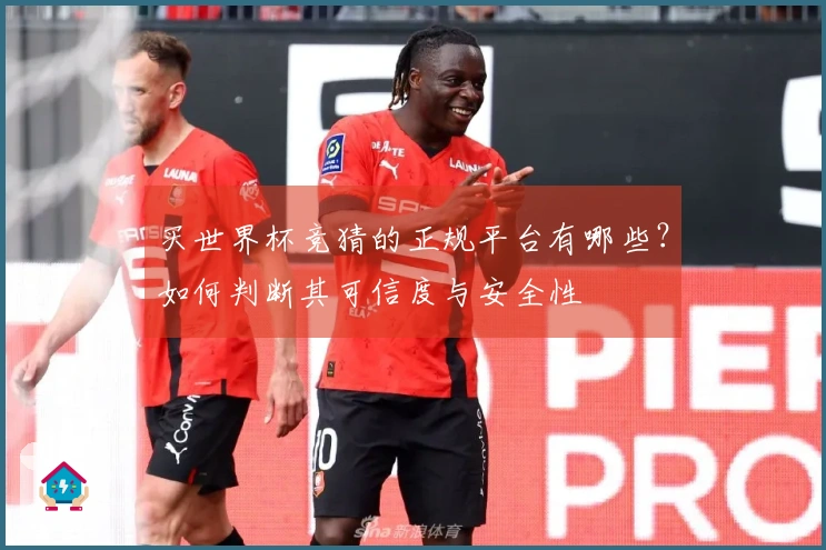 买世界杯竞猜的正规平台有哪些？如何判断其可信度与安全性