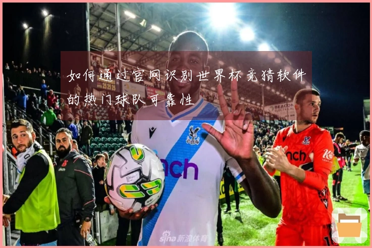 如何通过官网识别世界杯竞猜软件的热门球队可靠性