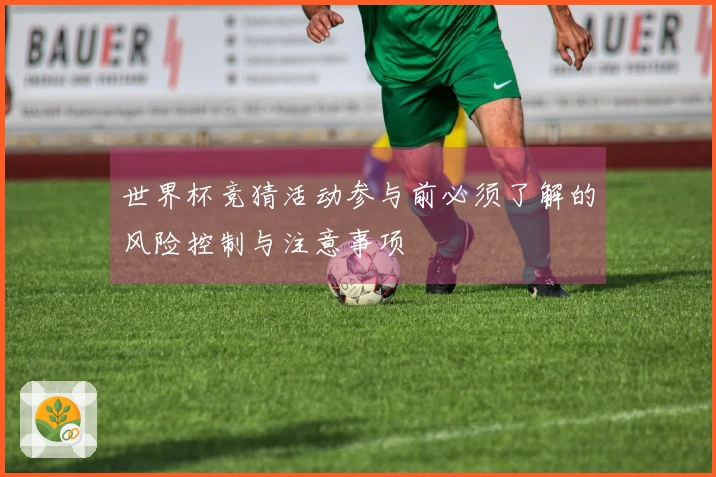 世界杯竞猜活动参与前必须了解的风险控制与注意事项