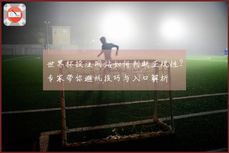 世界杯投注网站如何判断正规性？专家带你避坑技巧与入口解析