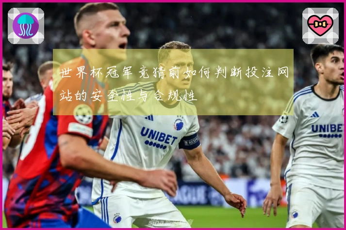 世界杯冠军竞猜前如何判断投注网站的安全性与合规性