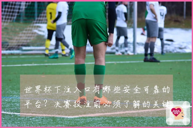 世界杯下注入口有哪些安全可靠的平台？决赛投注前必须了解的关键点