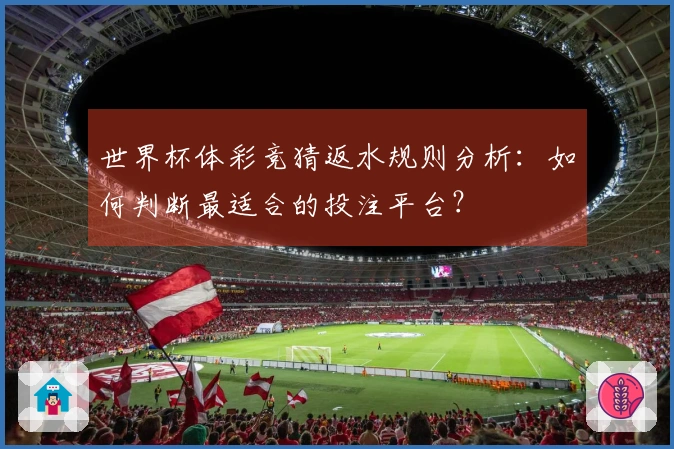 世界杯体彩竞猜返水规则分析：如何判断最适合的投注平台？