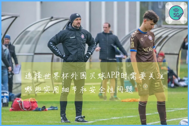 选择世界杯外围买球APP时需要关注哪些实用细节和安全性问题