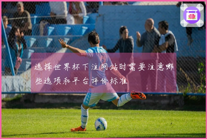 选择世界杯下注网站时需要注意哪些选项和平台评价标准