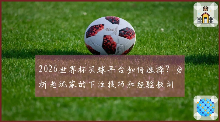 2026世界杯买球平台如何选择？分析老玩家的下注技巧和经验教训