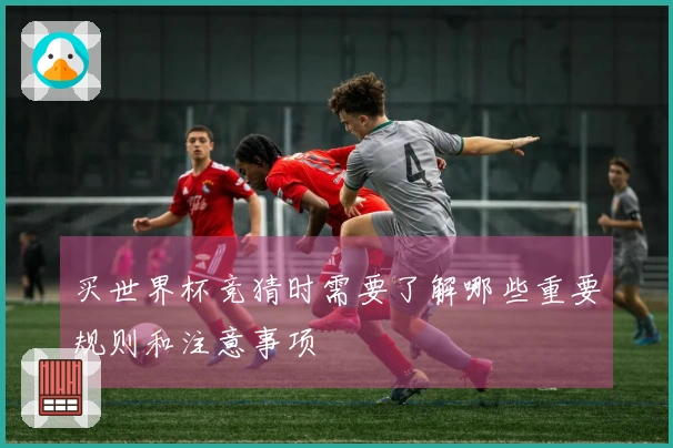 买世界杯竞猜时需要了解哪些重要规则和注意事项