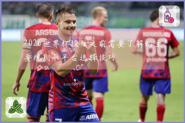 2026世界杯投注之前需要了解的主要规则和平台选择技巧