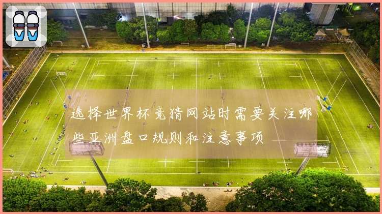 选择世界杯竞猜网站时需要关注哪些亚洲盘口规则和注意事项
