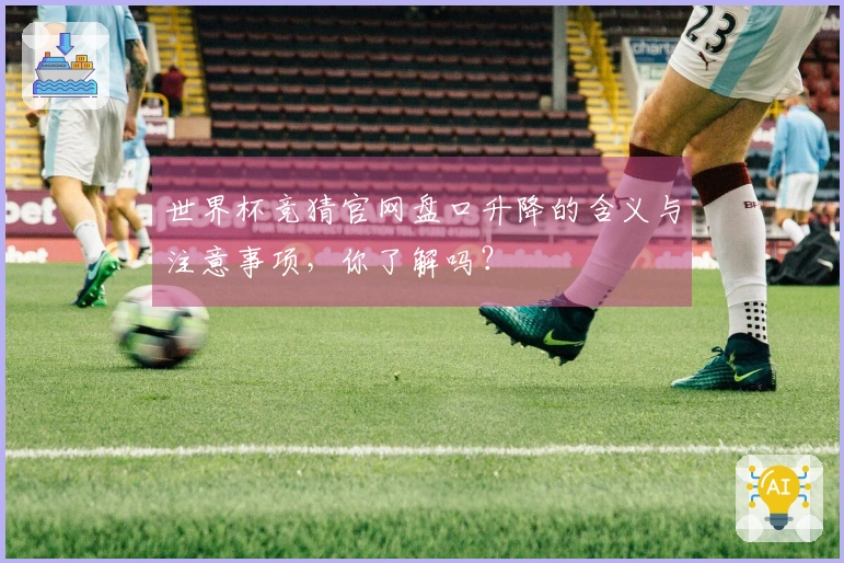 世界杯竞猜官网盘口升降的含义与注意事项，你了解吗？